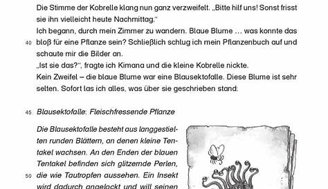Lesetests in Deutsch - Lernzielkontrollen 3. Klasse | Nr. 293