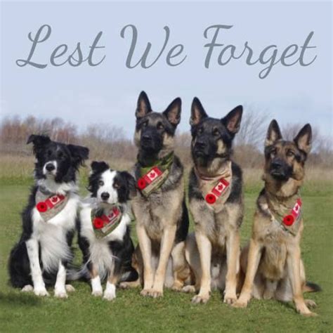 lest we forget dogs