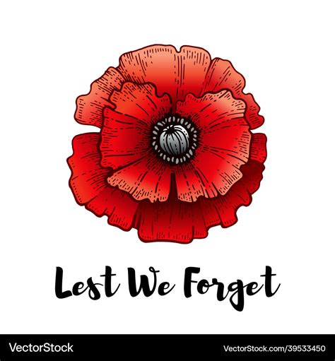 lest we forget poppy images