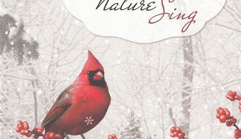 Let Heaven And Nature Sing Christian Christmas Greeting Card 135447