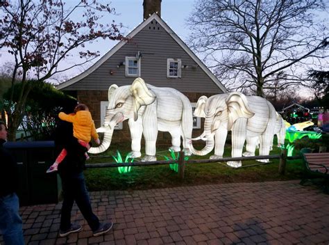 let it glow paramus nj