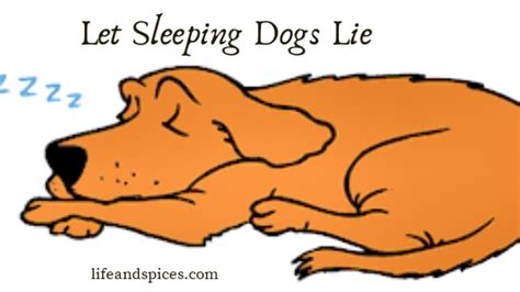 let the lying dog lie