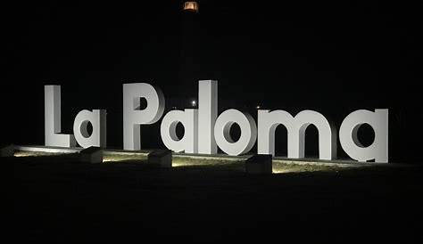 La paloma letras