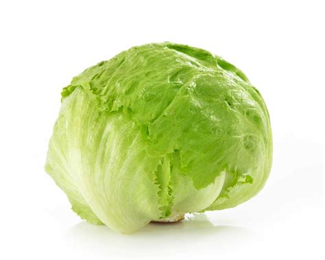Lettuce Collin Dictionary