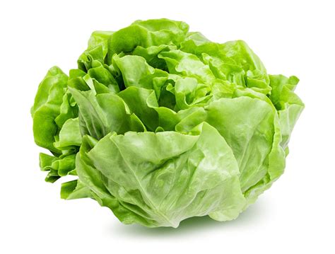 Lettuce Head Cost