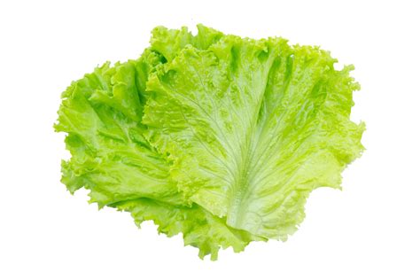 Lettuce Leaves Example