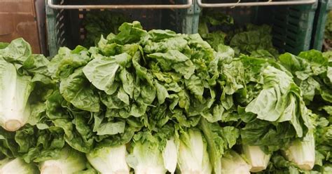 Lettuce Recall Today