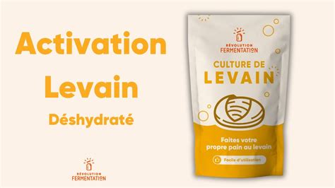 Activation du Levain