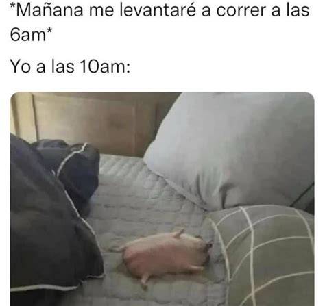 Pin de FINN RAIN en imágenes interesantes Memes, Memes en español, Humor