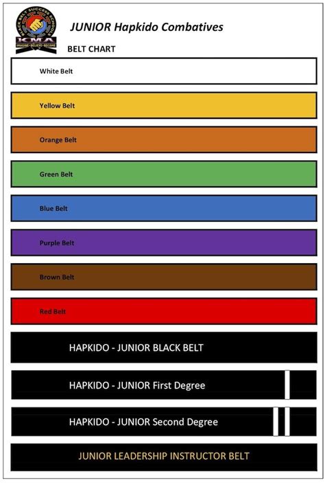 Level Of Martial Arts