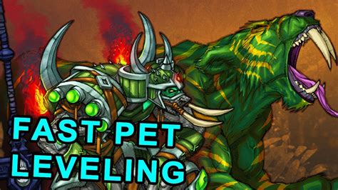Level Pet Fast Wow Classic