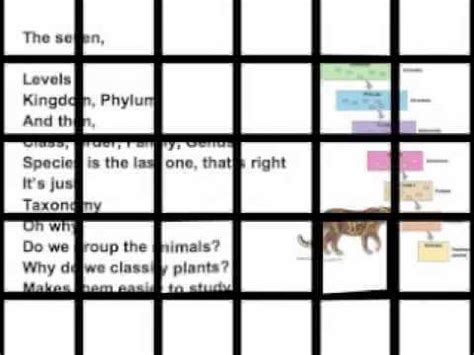 Levels Of Classification Song