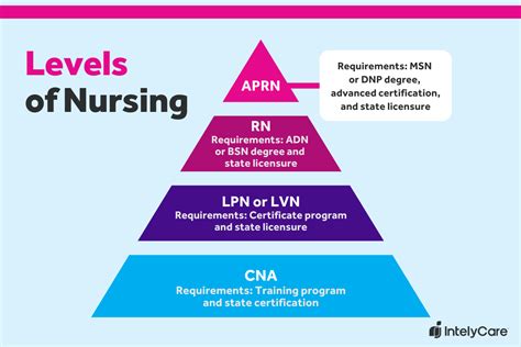 Levels Of Nursing Careers