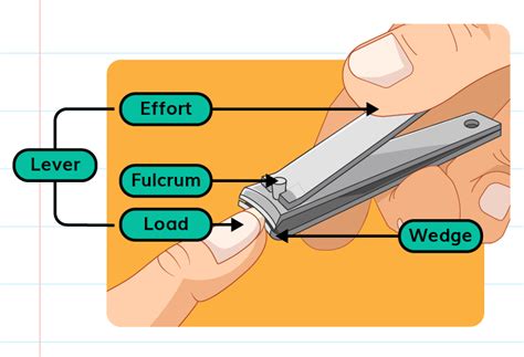 Lever Class Nail Cutter