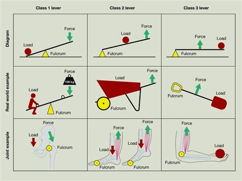 Lever Classes Examples