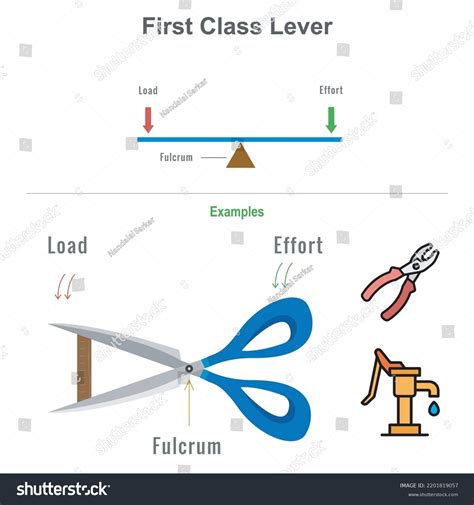 Lever Examples Of