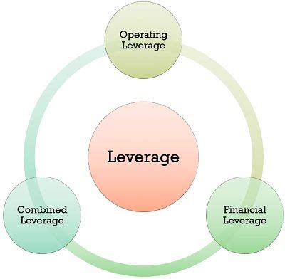 leverage meaning in tamil with example