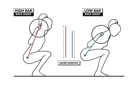 Levers Effect Exercises