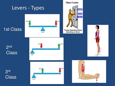 Levers Examples Pe