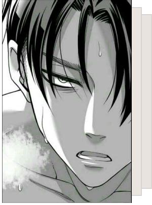 Levi X Reader Quotev