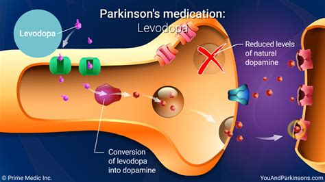 levodopa in parkinson's disease