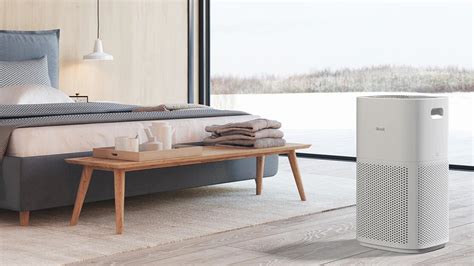 levoit discount code