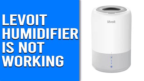 Levoit Humidifier Not Working? A Complete Troubleshooting Guide Air
