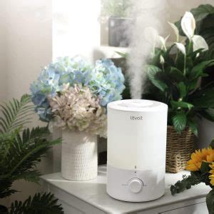 14 Common LEVOIT Humidifiers Problems Troubleshooting DIY Smart Home Hub