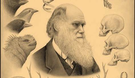 Charles Darwin Ricerca Per Scuola Elementare - erraim