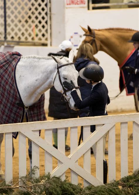 lexington country horse show