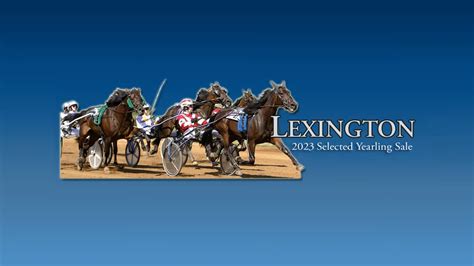 lexington selected yearling sale 2023