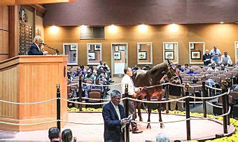 lexington selected yearling sale 2023 results