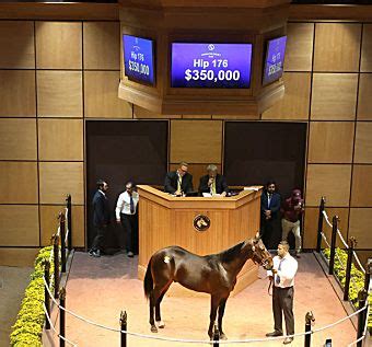 lexington yearling sale 2023 results