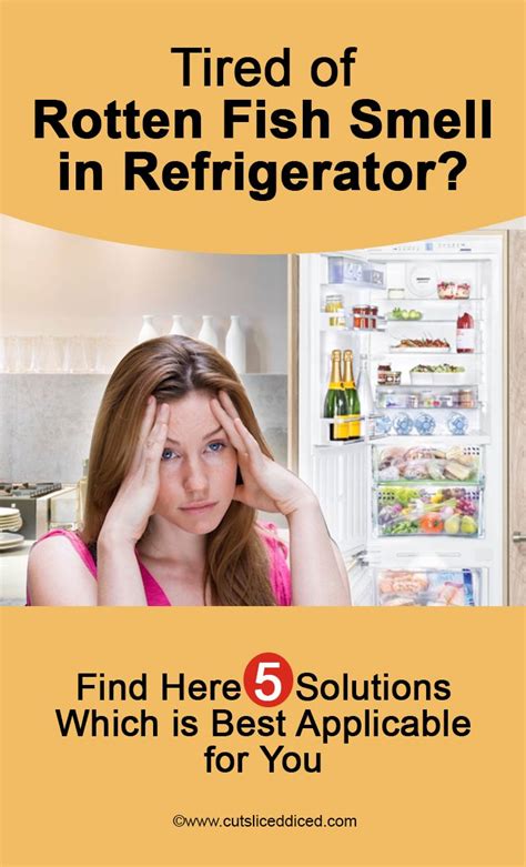 Refrigerator Drip Pan Smell Kenmore Elite Refrigerator