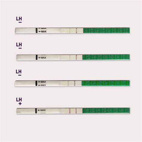 Understanding Your LH Lab Test: What Do Your Results Mean?