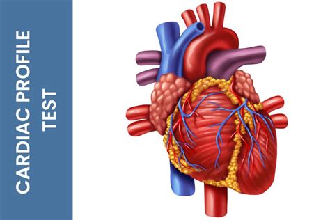 lhc cardiology test