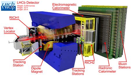 lhcb detector