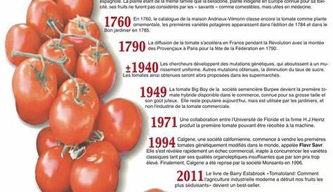 La tomate - Histoire de la tomate et ses nombreuses variétés