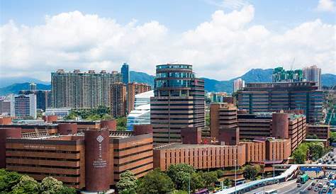 DTU Beyond Borders - Hong Kong Polytechnic University (PolyU) - Faculty