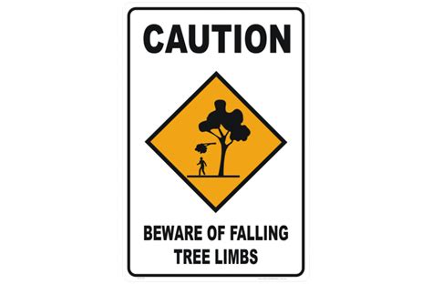 liability for falling tree limbs