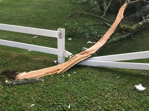 liability for tree falling on neighbor