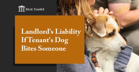 liability if tenants dog bites someone