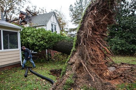 liability neighbor's tree falls my house