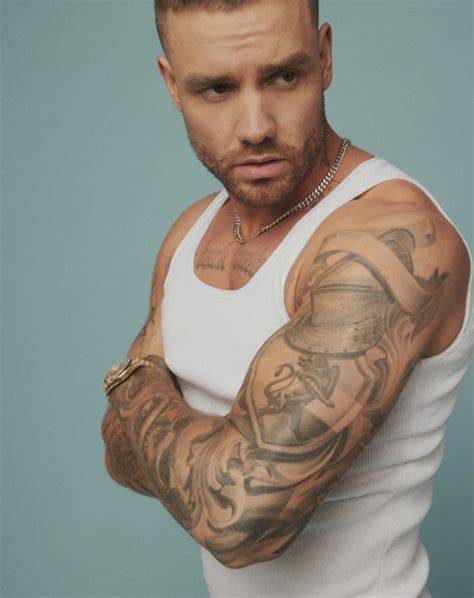 Exploring The Life And Identity Of Liam Payme: Is He Gay?