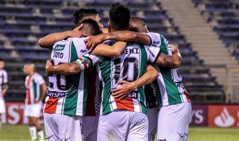 libertadores palestino