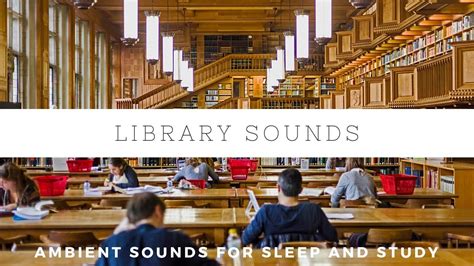 Library Ambience Sounds