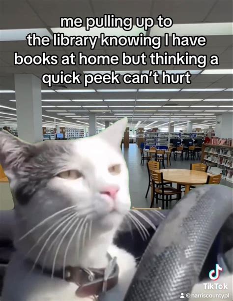 23 Library Memes for Book Lovers