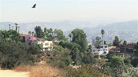 Library Tapes Pitchfork