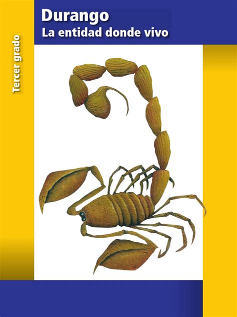 News Libro De Durango Tercer Grado Going Viral