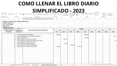 libro diario enero 2022